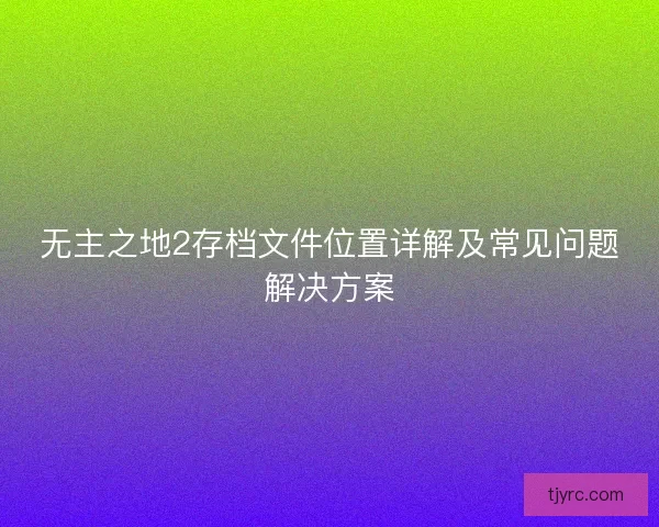 无主之地2存档文件位置详解及常见问题解决方案